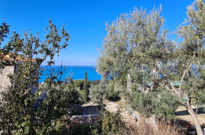 Ag Nikitas Opportunity 011.jpg